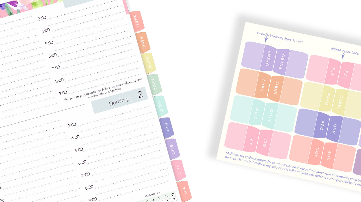 PESTAÑAS SEPARADORAS MESES >>