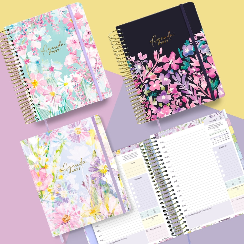 Agendas 2027